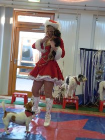 Weihnachtsfeier in den AWO Spreewaldwerkstätten - Die Samels bei der Hundeaufführung