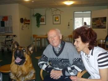 Therapiehund Max in der AWO Wohnstätte für Senioren in Cottbus