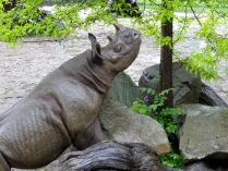 OV Wildau macht einen Ausflug in den Zoo Leipzig