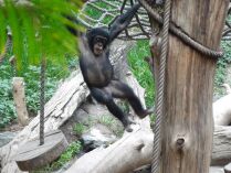 OV Wildau macht einen Ausflug in den Zoo Leipzig