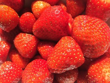 Erdbeeren.JPG