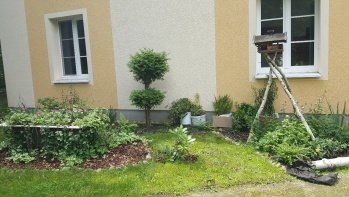 Lauchhammer, AWO Wohnstätte - Gartenprojekt (9).jpg